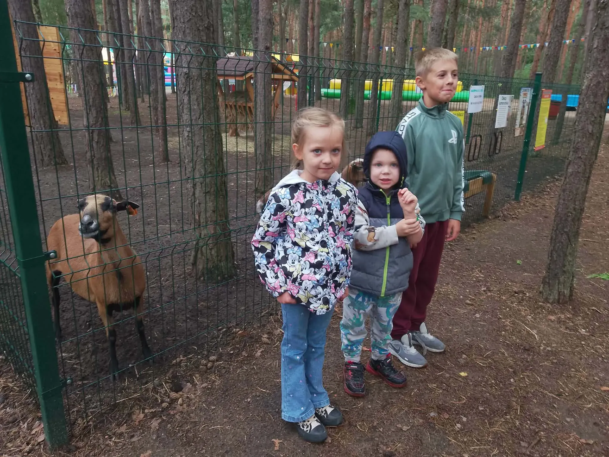 Zdjęcie 4: "Uśmiechnięty dzień"